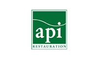 13_Big-api-logo